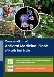 “Compendium of Antiviral Medicinal Plants of North East India”, Botanical Survey of India, Kolkata and Institute of Bioresources and Sustainable Development, Imphal.